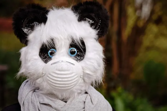 يوني بيت كازينو الدعم